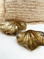 Brass Clam Shell - Large – Salt & Sand