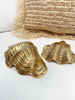 Brass Clam Shell - Large