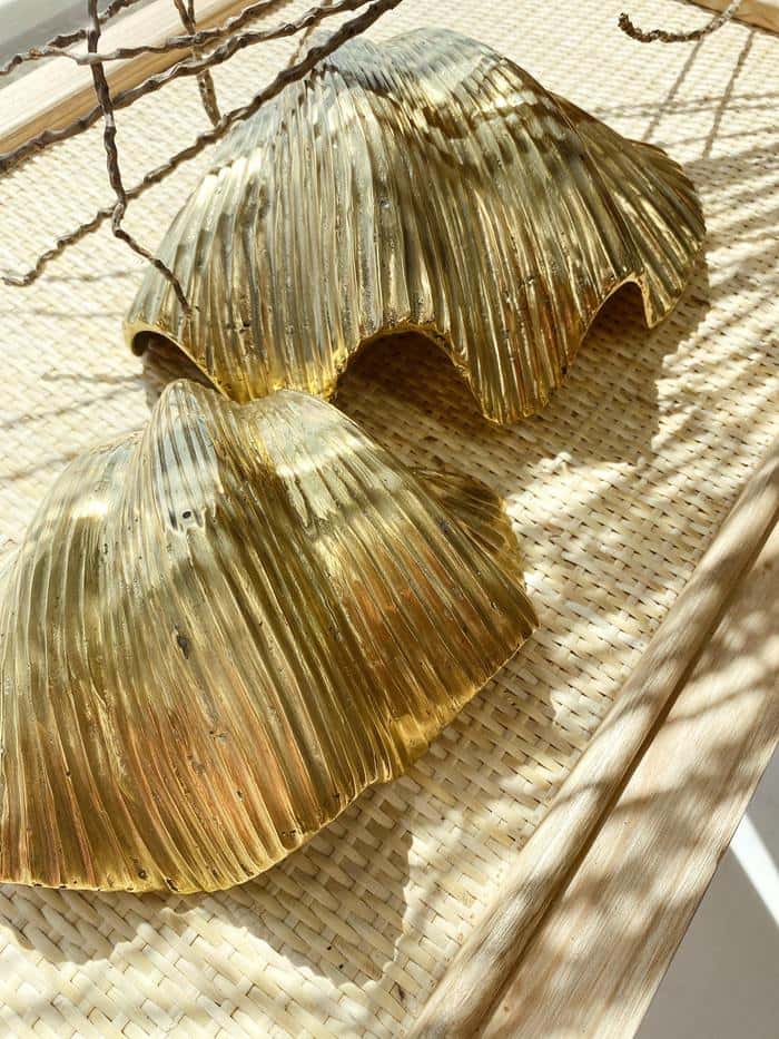 brass clam shell