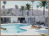 art-print-stretched-canvas-palms-springs-pool-tigers