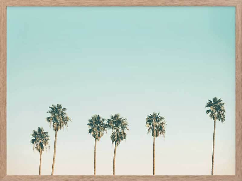 art-print-tall-palms-oak-frame-no-border