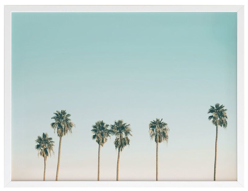 art-print-tall-palms-white-frame-no-border